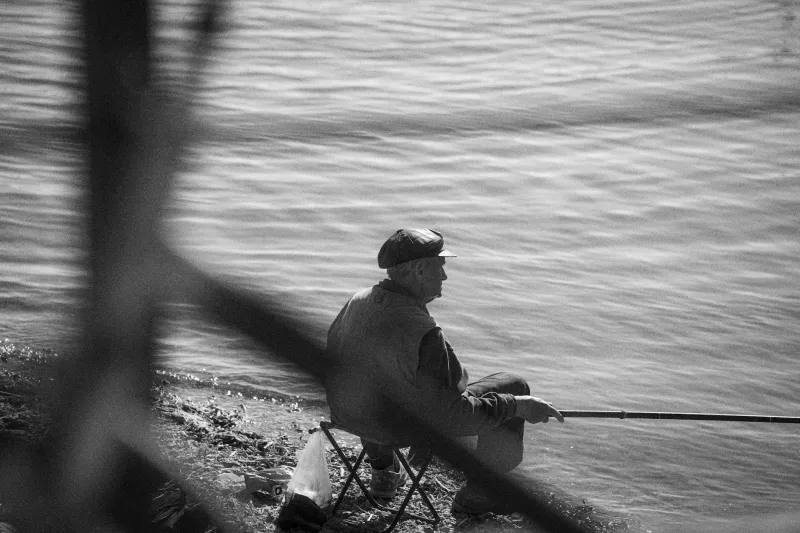 One Fish, Two Nations: How a Sturgeon Nearly Sparked a Border War Between Best Friends